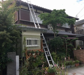 調査開始します