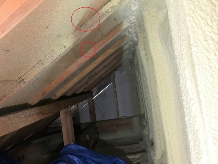 雨漏りしている屋根裏