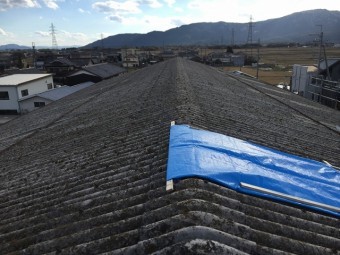 屋根破損状況