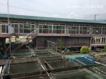 こちらの屋根です