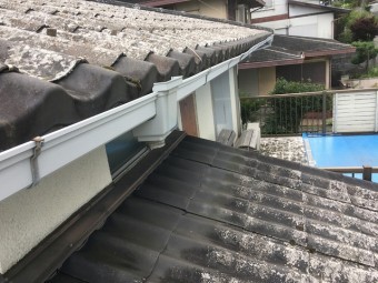 雨樋破損確認