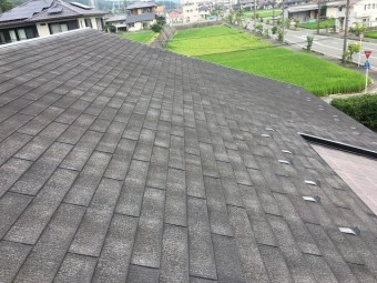 カラーベスト確認