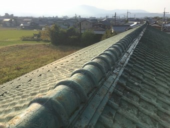 屋根上確認