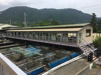 こちらの屋根も点検します