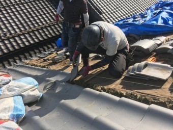 遠くから撮影