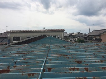 屋根上