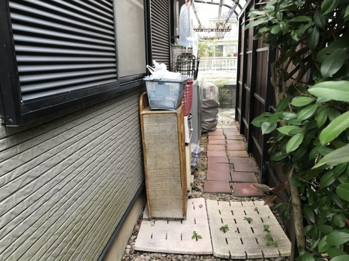 藻の生えたサイディング