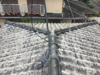 棟写真