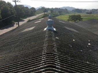 屋根上全景