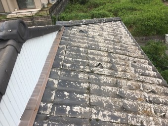 ここも割れている