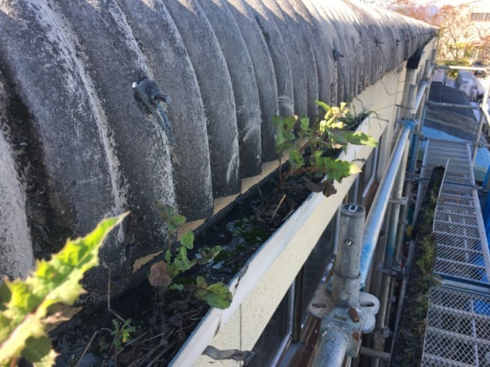 中の詰まったゴミ確認