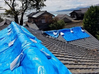 養生しました