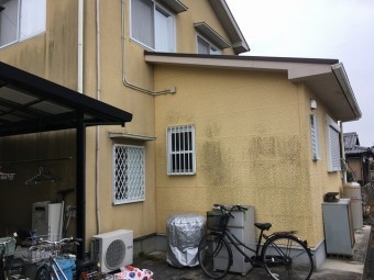 カビの生えている外壁
