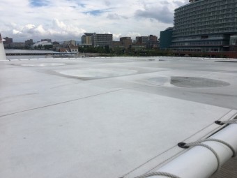 テント生地に雨が生溜まっています