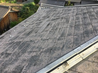 棟板金破損している