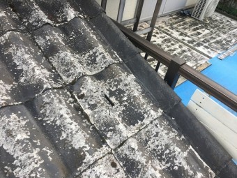 破損箇所確認