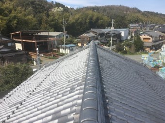 屋根全景