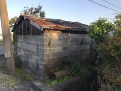 劣化しているトタン屋根