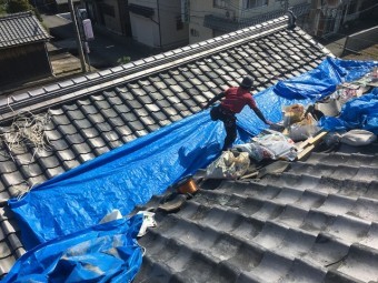 養生
