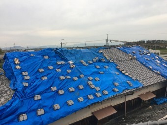 養生完成