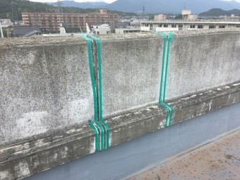 養生