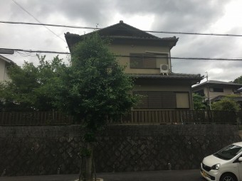 全景