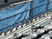IMG_2913-columns3