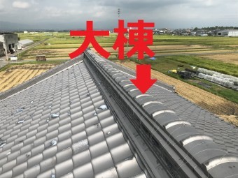 大棟