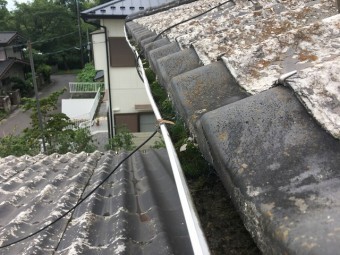 雨樋破損確認
