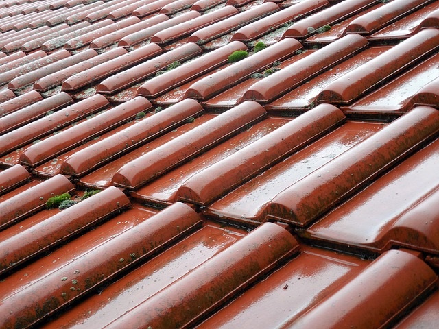 tile-981181_640